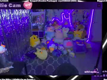 Wildwylie February 05, 2025 Chaturbate stream image