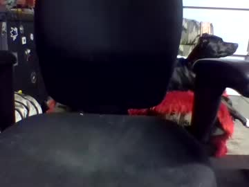 Hughkok408 February 05, 2025 Chaturbate stream image