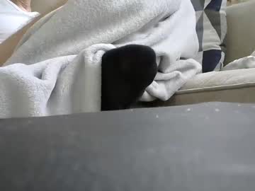 Dave435411 February 06, 2025 Chaturbate stream image