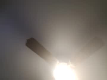 Red24devils February 06, 2025 Chaturbate stream image
