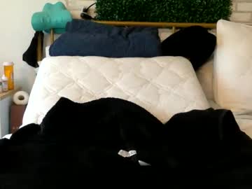 Hunghulk20 February 06, 2025 Chaturbate stream image