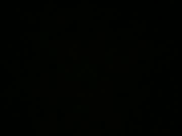 Collegegirlcaitlin February 07, 2025 Chaturbate stream image
