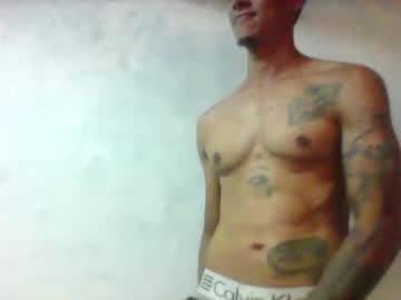 Milkhammer February 07, 2025 Chaturbate stream image