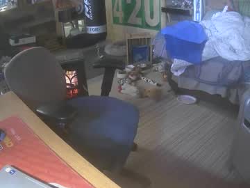 Barewood30 February 07, 2025 Chaturbate stream image