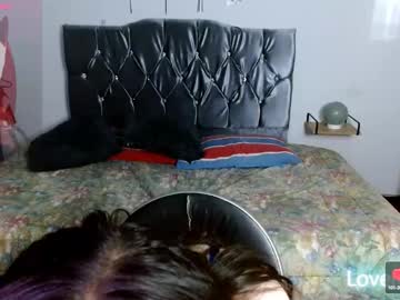 Sophiieelee February 07, 2025 Chaturbate stream image