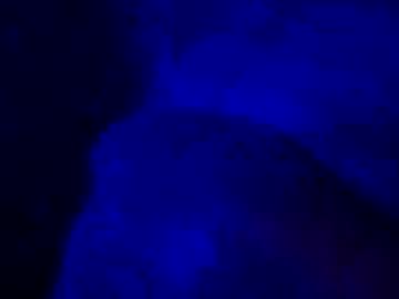 Nilzon81 February 08, 2025 Chaturbate stream image
