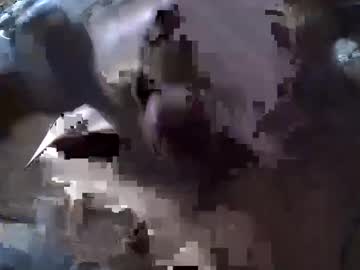 Gicobest February 08, 2025 Chaturbate stream image