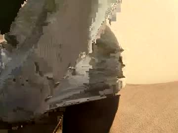 Bibiroyce February 08, 2025 Chaturbate stream image