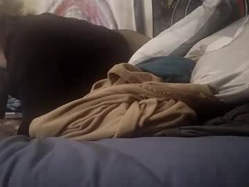 Gabbybaby88 February 08, 2025 Chaturbate stream image