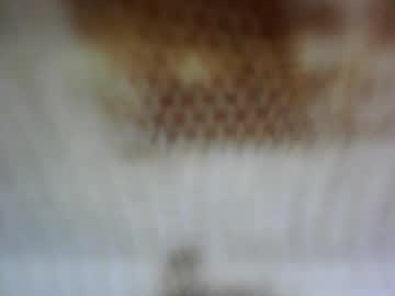 Ctrbt24 February 10, 2025 Chaturbate stream image