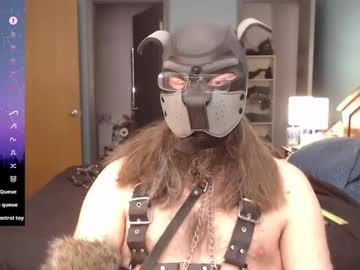 Kinkywolf87 February 10, 2025 Chaturbate stream image