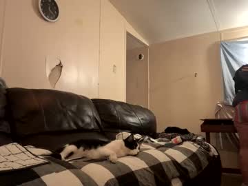 Dumbgirl5150 February 11, 2025 Chaturbate stream image