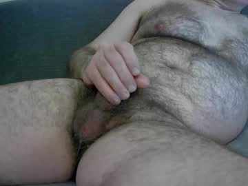 Zepincam February 11, 2025 Chaturbate stream image
