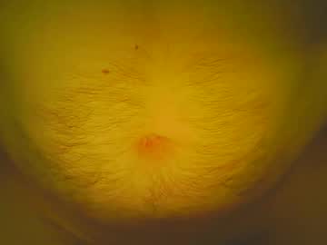 Love5pu55y February 11, 2025 Chaturbate stream image