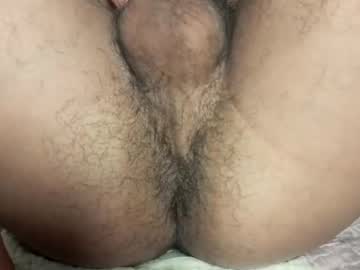 Little_Universe February 11, 2025 Chaturbate stream image