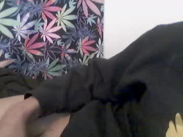 Presidentialbryana February 11, 2025 Chaturbate stream image