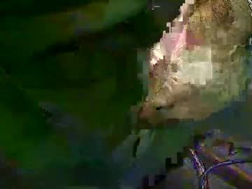 Handycolt February 12, 2025 Chaturbate stream image