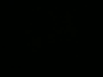 Samulatienegrande February 12, 2025 Chaturbate stream image
