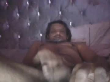 Hornyzed696 February 12, 2025 Chaturbate stream image