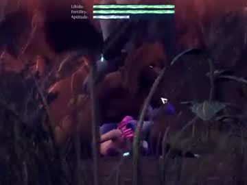 Sexgamefox February 12, 2025 Chaturbate stream image