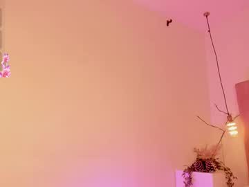Sofiesoft February 12, 2025 Chaturbate stream image