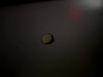 Slurpmynut February 12, 2025 Chaturbate stream image