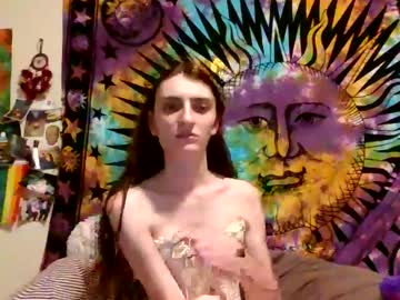 Stonedtranny69 February 13, 2025 Chaturbate stream image