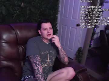 Themintsicle February 13, 2025 Chaturbate stream image