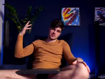 Waynenorth February 13, 2025 Chaturbate stream image