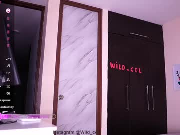 Wild_Col February 13, 2025 Chaturbate stream image