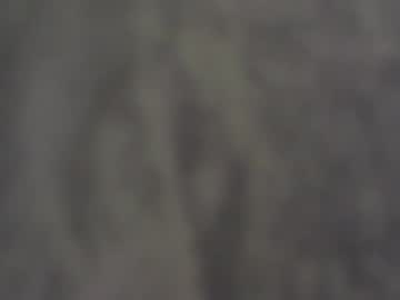 Anarchy_Shaman February 13, 2025 Chaturbate stream image