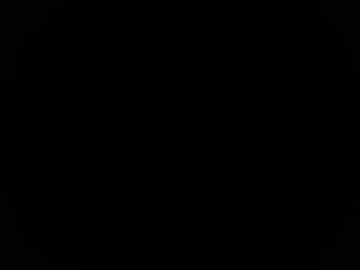 Eroticobiss February 13, 2025 Chaturbate stream image