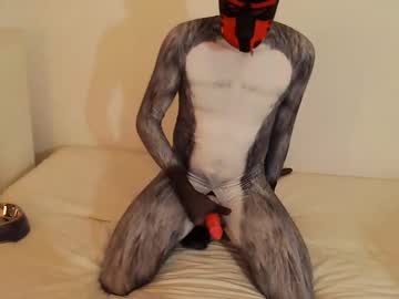 Martin_Ni February 14, 2025 Chaturbate stream image