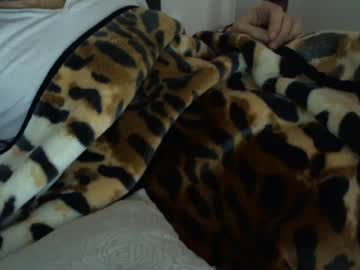 Capo4301 February 15, 2025 Chaturbate stream image