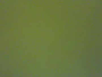 Sspyral February 16, 2025 Chaturbate stream image