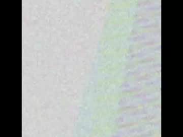 Icdaryl2 February 16, 2025 Chaturbate stream image
