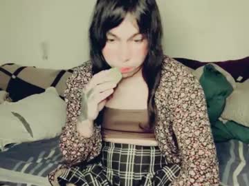 Evelyn420521 February 16, 2025 Chaturbate stream image