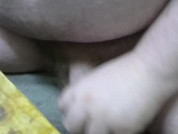 Falso_Aleatorio February 16, 2025 Chaturbate stream image