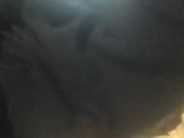 Qualityblackdck February 16, 2025 Chaturbate stream image