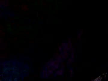 Booby514241 February 16, 2025 Chaturbate stream image