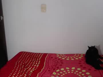 Brins_Hilton February 16, 2025 Chaturbate stream image
