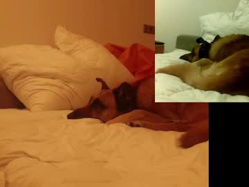 Vvooyex February 16, 2025 Chaturbate stream image