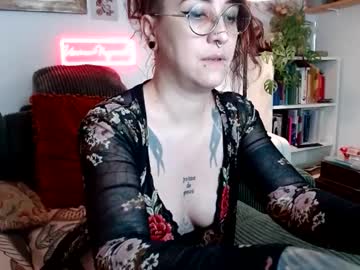 Ursinae stream photo from February 17, 2025