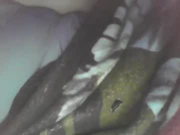 Spinnerbitch February 17, 2025 Chaturbate stream image