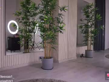 Abbela_White February 17, 2025 Chaturbate stream image