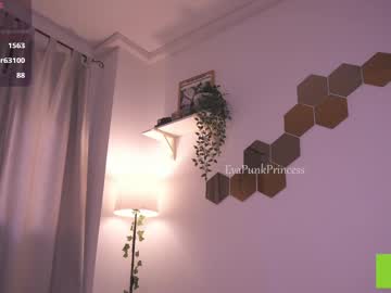 Evapunkprincess stream photo from February 18, 2025