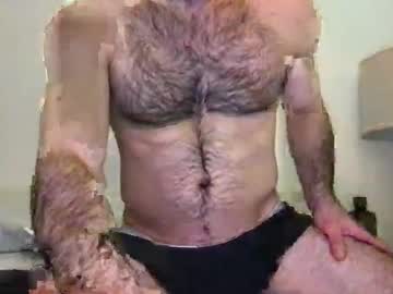 Donnymtl February 19, 2025 Chaturbate stream image