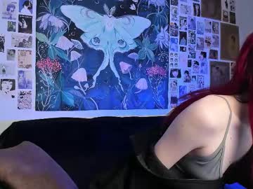 Baby_Monster1 February 19, 2025 Chaturbate stream image