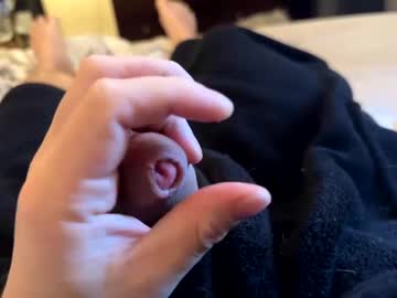 Xoxowtf February 19, 2025 Chaturbate stream image