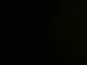 1fourfishes February 19, 2025 Chaturbate stream image